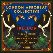 Freedom (Voilaaa Remix) artwork