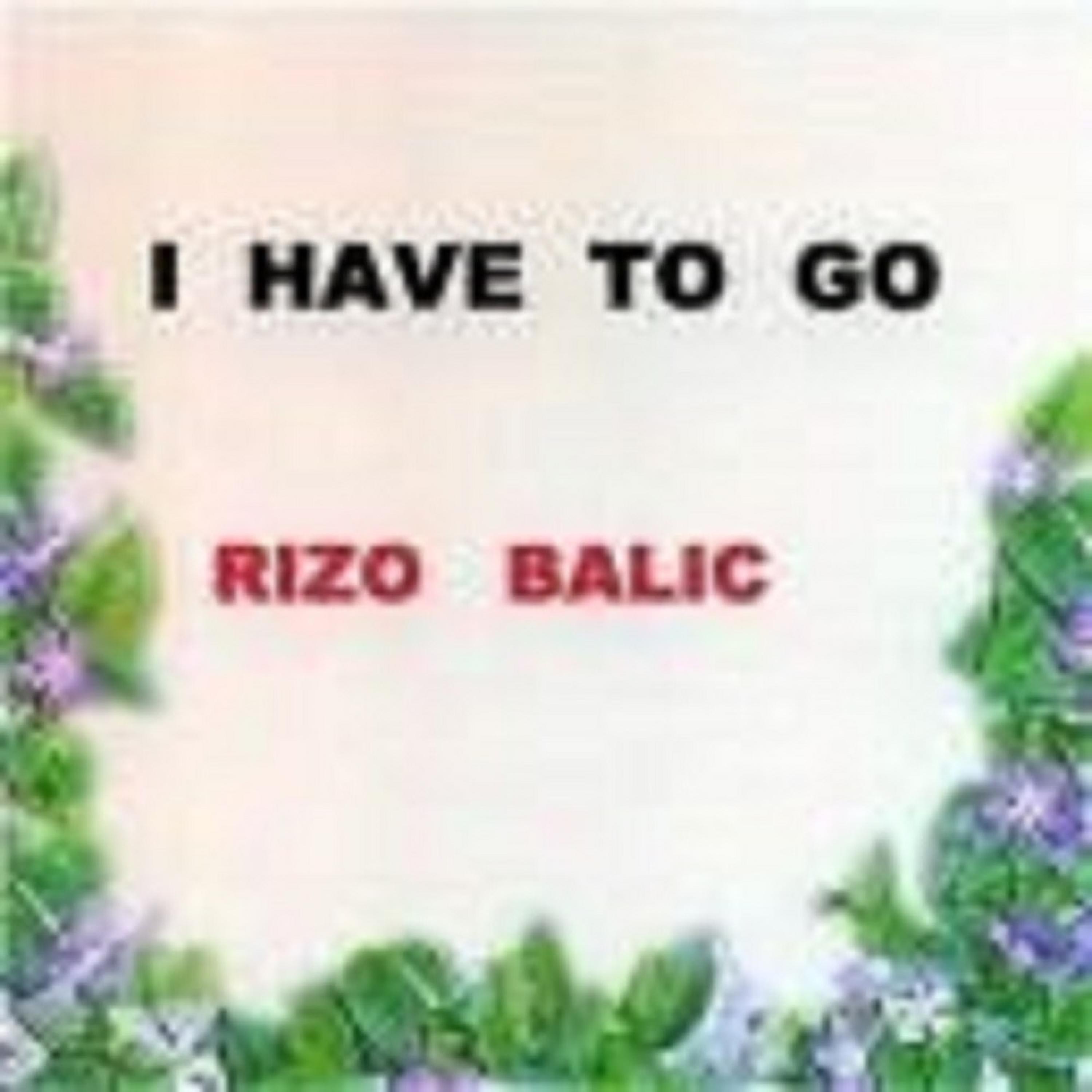 I Have To Go - Single