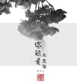 你的爱太危险 (DJ版) 娜宝儿 & 行人部落