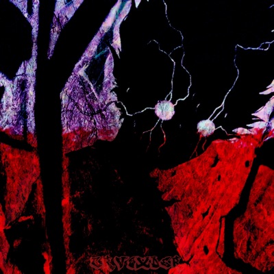 El Mejor Funk Polaco - Single