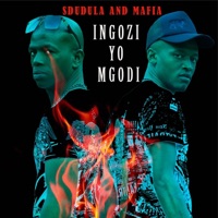 Ingozi Yo Mgodi - Single - Sdudula & Mafia
