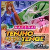 Makenai (Tenjho Tenge) Ova Ending - Single