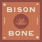 High Road to Taos - Bison Bone lyrics