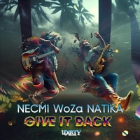 Give It Back - Single - Necmi, Woza & Natika