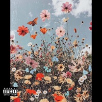 Lovely - Single - Juicy