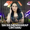 Sia Sia Mengharap Cintamu - Single