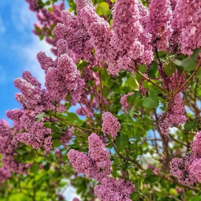 Jodia sounds - موسيقى للراحة والهدوء التام