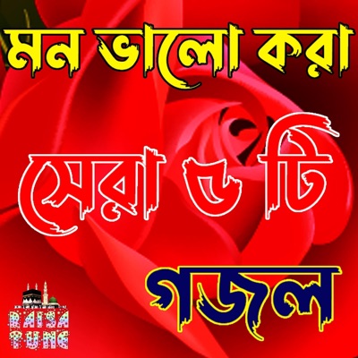 Raisa Tune - মন ভালো করা সেরা ৫ টি গজল  Bangla Gojol  নতুন গজল সেরা গজল  Islamic Gazal  Amazing Islamic Naat  Ghazal