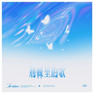 荆棘里的歌 - Single