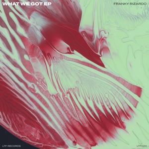 What We Got - Single