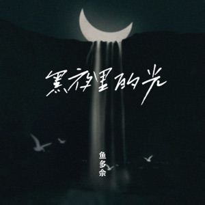 黑夜里的光 - Single