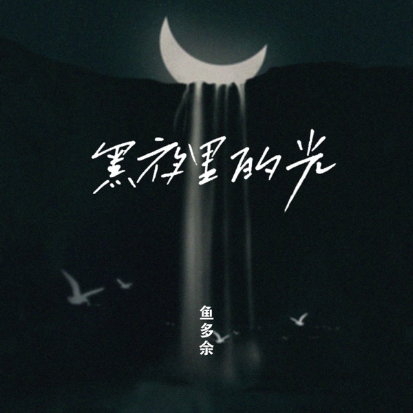 黑夜里的光 - Single