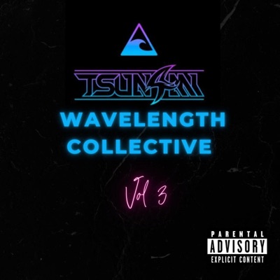 Wavelength Collective, Vol. 3
