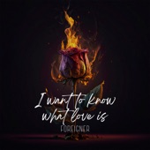 I want to know what love is (House) artwork