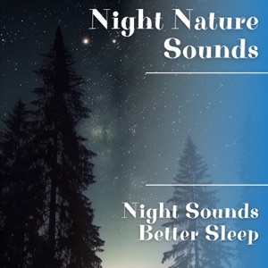 Night Sounds, Better Sleep