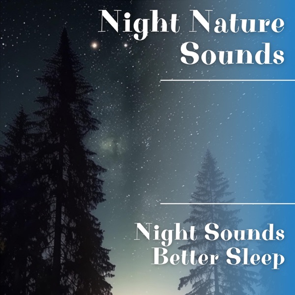 Night Sounds, Better Sleep