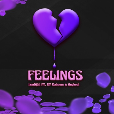 Feelings (feat. BT Raheem & AnyBoul) - Single