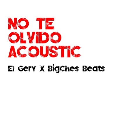 No te olvido (feat. BigChes Beats) [acoustic] [acoustic] - Single