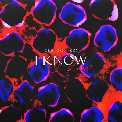 I KNOW (feat. Shizzy) - Single