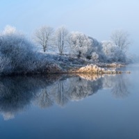 Jesu, Joy of Man's Desiring - Single - David L Tolley