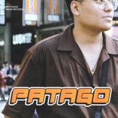 Patago artwork