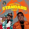 Standard - Single