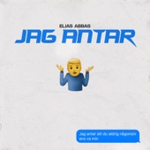 Jag Antar artwork