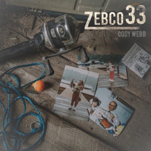 Zebco 33 - Single