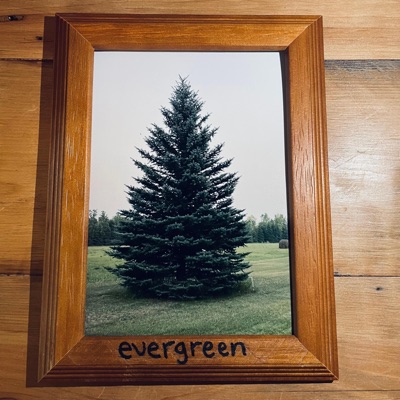 Evergreen - Single