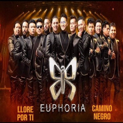 Euphoria - Llore por Ti / Camino Negro