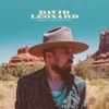 David Leonard - Keep The Light On