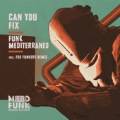 Can You Fix (Foo Funkers Remix) artwork