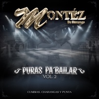 Puras Pa' Bailar, Vol. 2: Cumbias, Charangas y Punta - Montez De Durango