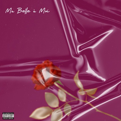 Ma belle à moi - Single