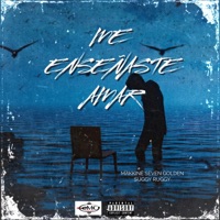 Me Enseñaste Amar (feat. suggy ruggy) - Single - makkine seven golden