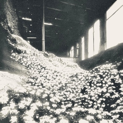 Watch My Hands Now (feat. Greyhound)