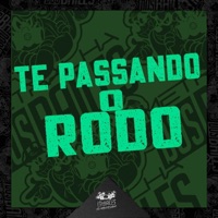 Te Passando o Rodo - Single - MC RS, Mc 2Jhow, DJ CLEBER & DJ VN Mix