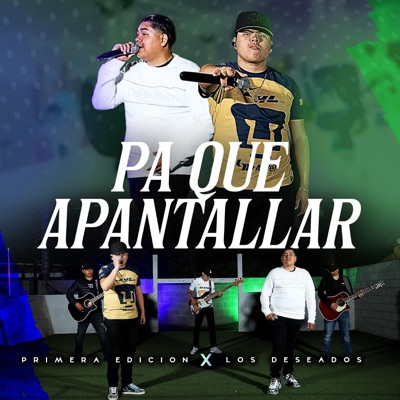 Pa Que Apantallar - Single