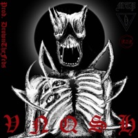 VNQSH (feat. Jatan Satan) - Single - Krim$in Terror Phantom