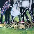 Make Room For Harry