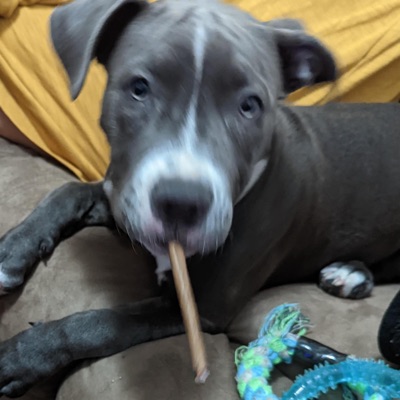 Won't Do (Radio Edit) - Single