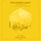 Aftersound (Dro(US) Remix) - Following Light lyrics