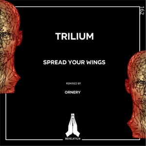 Spread Your Wings - Single