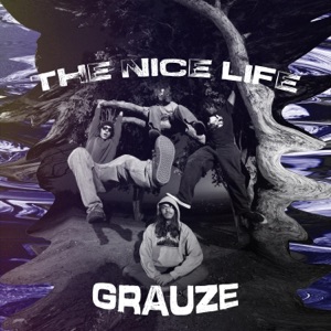 The Nice Life