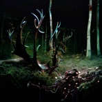 Florida Thang - Single
