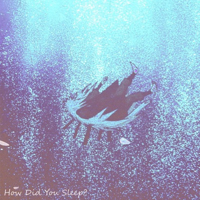 How Did You Sleep? - Single