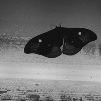 Wound - Single - Modern Failure