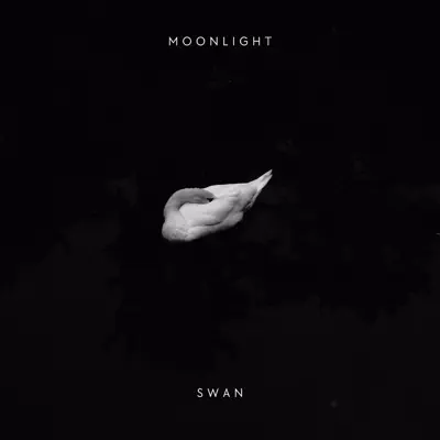 Listen to Swan (Techno) - Single by Moonlight