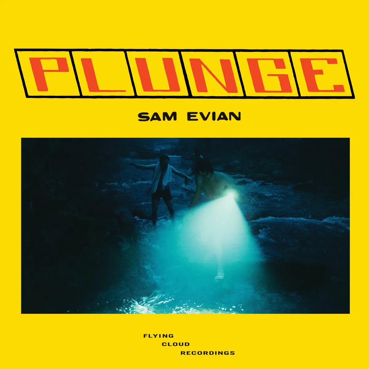 Sam Evian - Plunge (2024) [iTunes Plus AAC M4A]-新房子