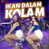 Ikan Dalam Kolam